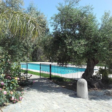 La Bastide De L'Oliveraie 르카스틀레 외부 사진