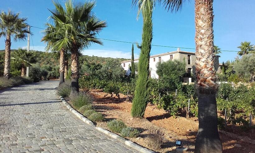 La Bastide De L'Oliveraie 르카스틀레 외부 사진